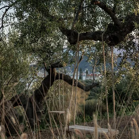 The Olive Yard 4* 伊西翁