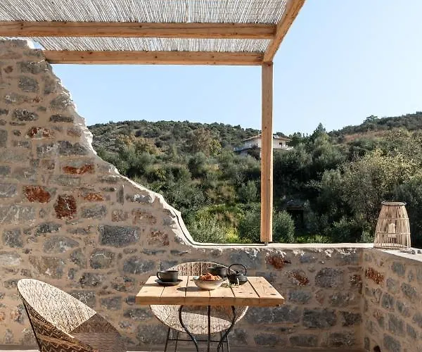 The Olive Yard