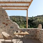 The Olive Yard