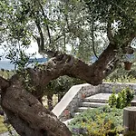 公寓式酒店 The Olive Yard 4*