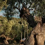 The Olive Yard 기티오