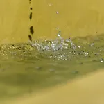 The Olive Yard 4*