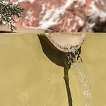 The Olive Yard 公寓式酒店 伊西翁