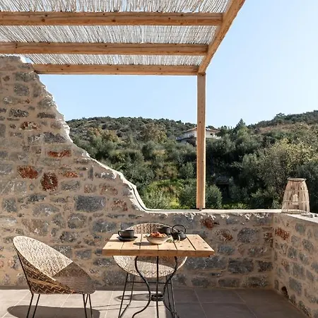 The Olive Yard