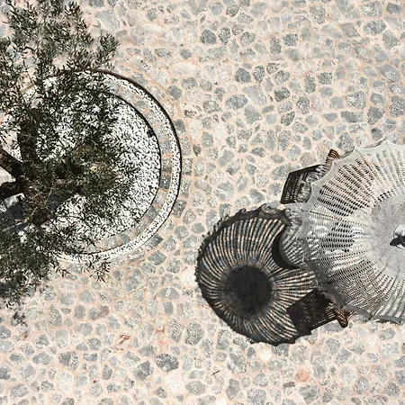 The Olive Yard