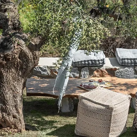 아파트호텔 The Olive Yard 3*
