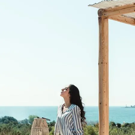 The Olive Yard 기티오