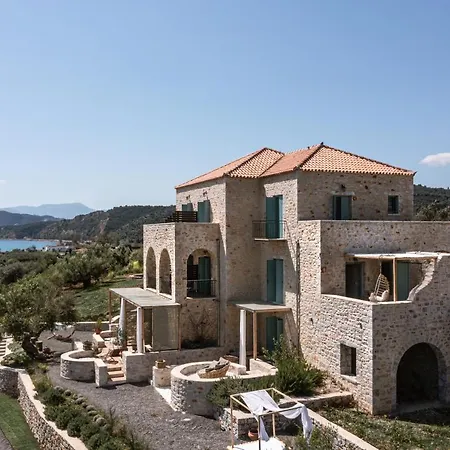 The Olive Yard