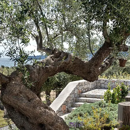 아파트호텔 The Olive Yard 3*