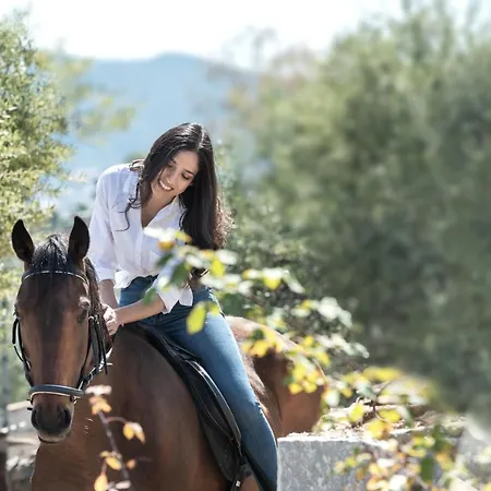 The Olive Yard 아파트호텔 기티오