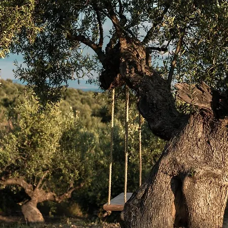 The Olive Yard Gythio