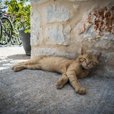 The Olive Yard Apart Otel Gytheio