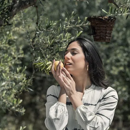 The Olive Yard 4* Gythio