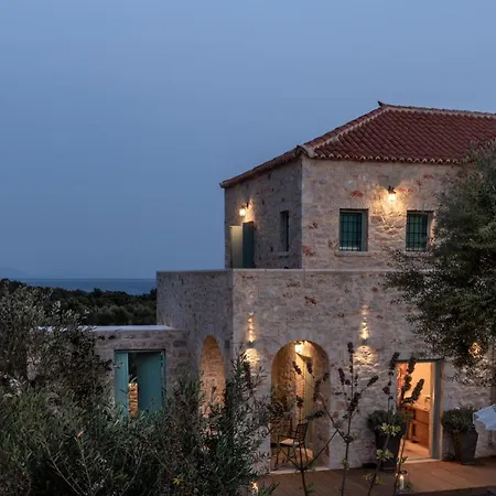 The Olive Yard