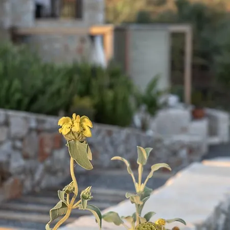 The Olive Yard Ξενοδοχείο με διαμερίσματα 3*
