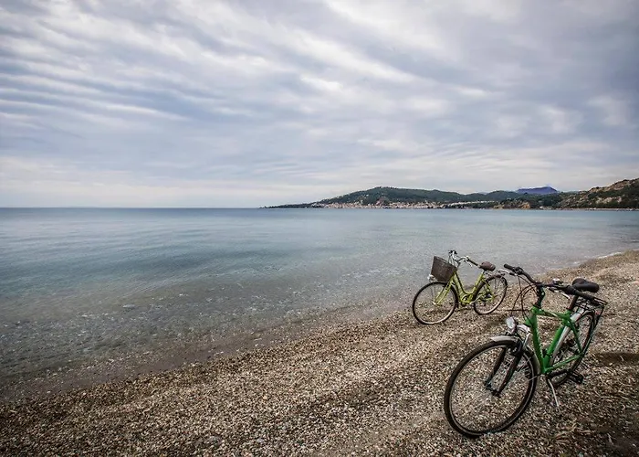 The Olive Yard Hotel apartamentowy