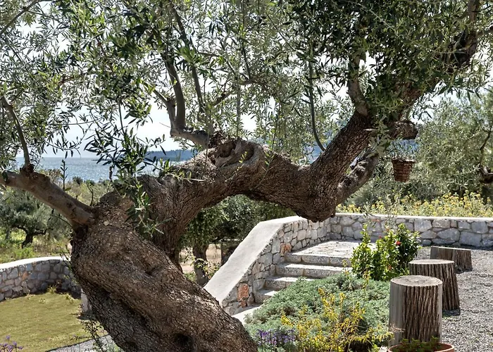 Apart-hotel The Olive Yard 4*