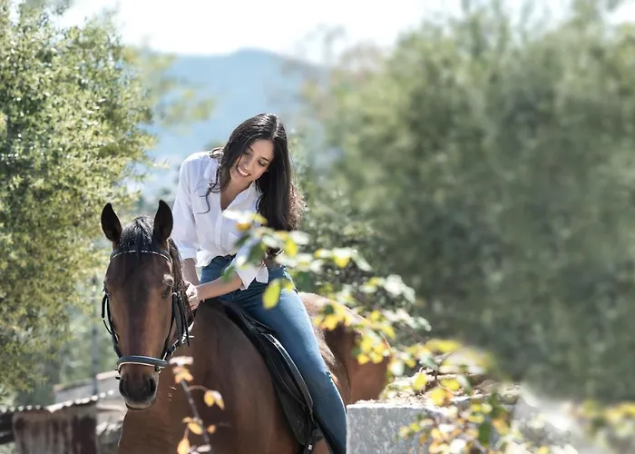 The Olive Yard Aparthotel Gythio