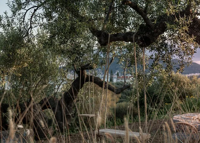 The Olive Yard 4* Gytheio