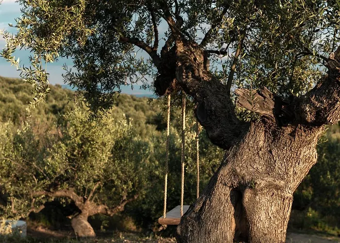 The Olive Yard Gythio