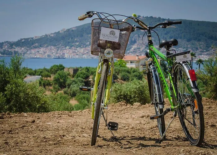 Hotel apartamentowy The Olive Yard 4*