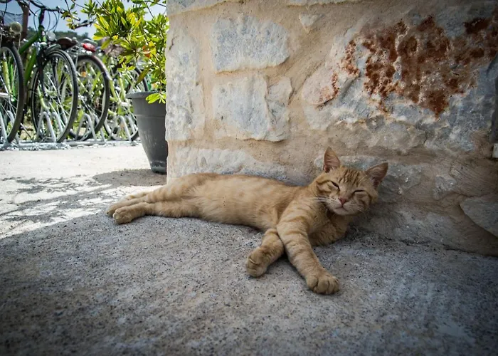 The Olive Yard Aparthotel Gythio