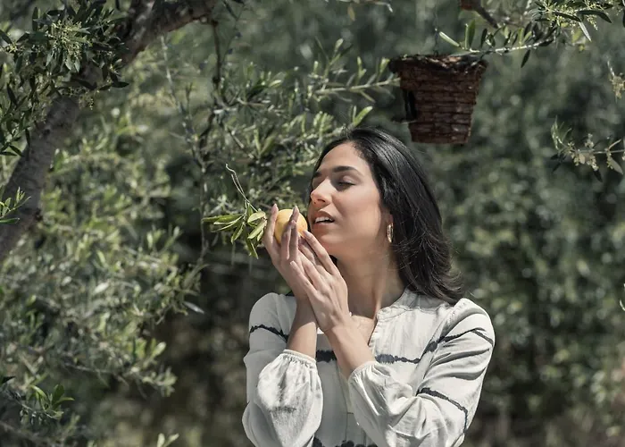 The Olive Yard 4* Gythio