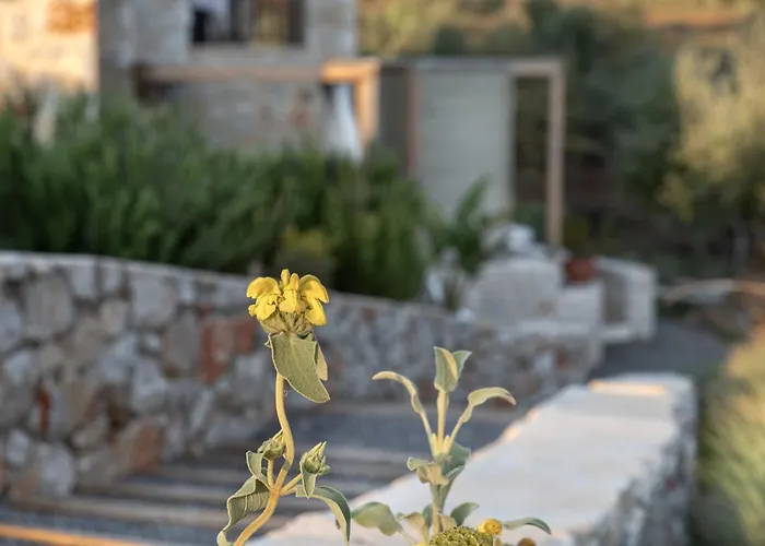 The Olive Yard Aparthotel 4*